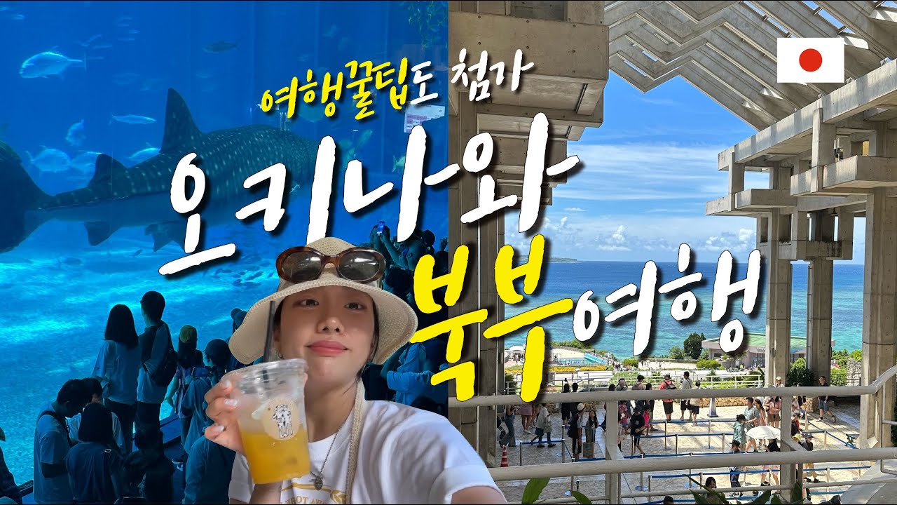 [일본 오키나와] 오키나와 북부 여행 🇯🇵 ㅣ코스 추천ㅣ츄라우미 수족관, 고우리 섬 EP 02