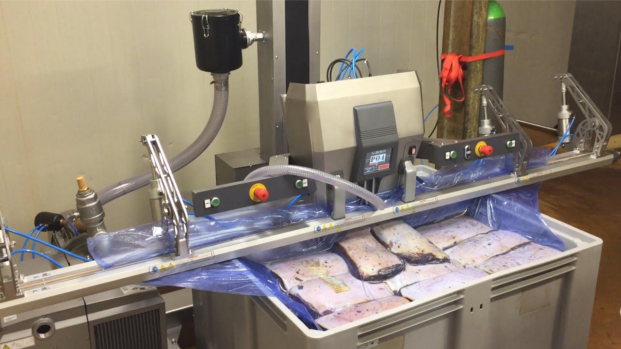 Meat bulk packaging with vacuum - Hacona VI-type industrial vacuum packaging machine