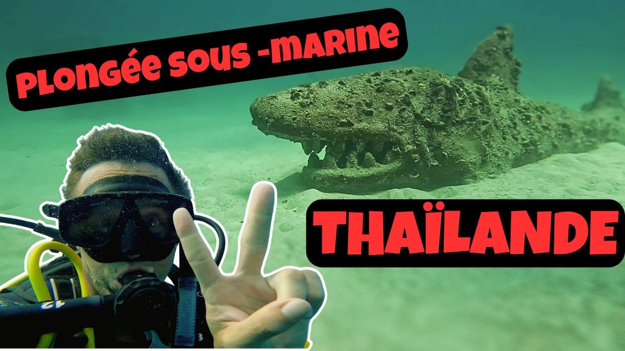Je commence mon open water en Thailande à Koh Tao