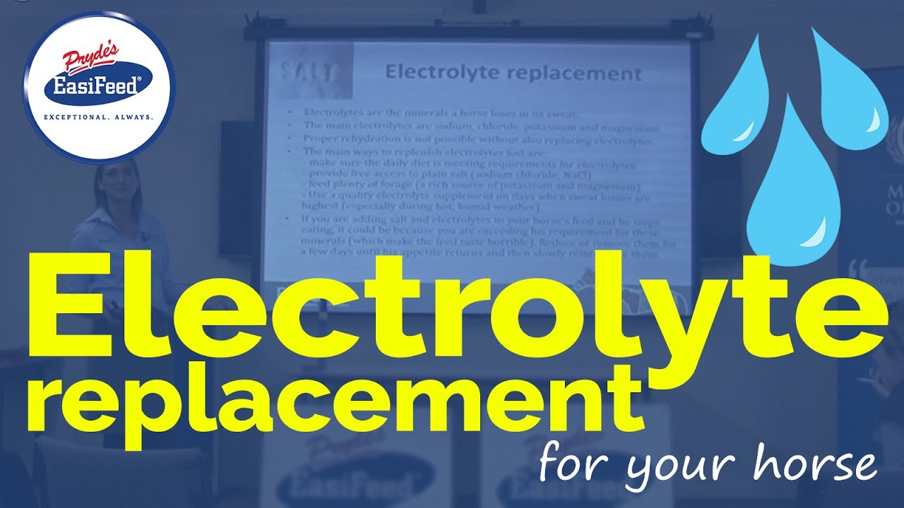Electrolyte replacement for your horse - how to use it.