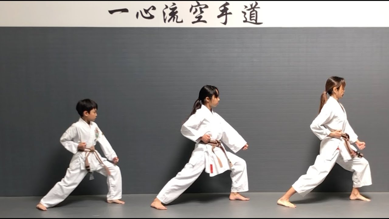 Taikyoku Shodan Kata