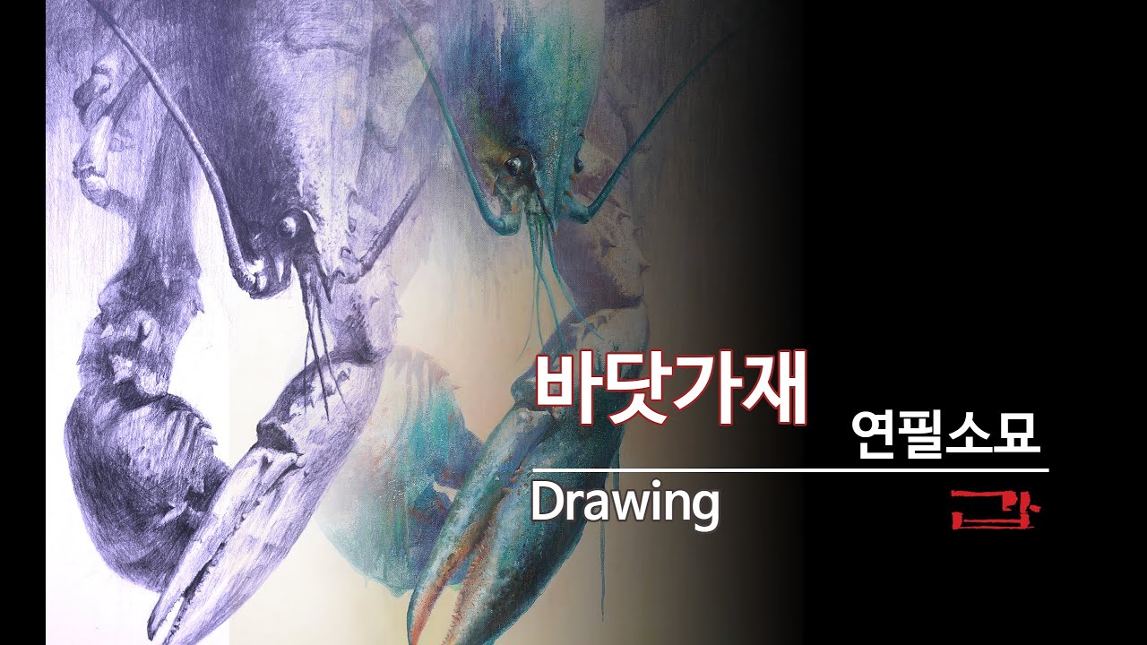 Pencil drawing of a lobster on a white paper /랍스터 연필 소묘/드로잉