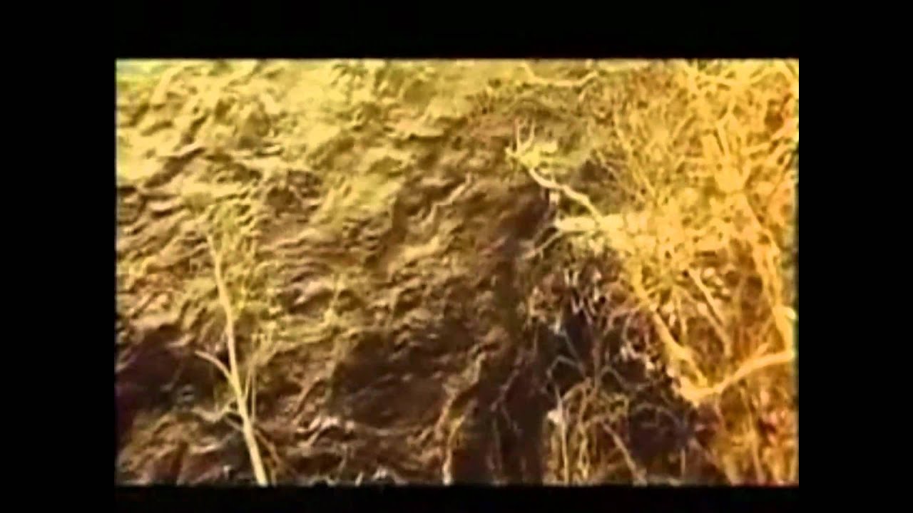 Kyrgyz A .Ogonbaev - Kuydum Chok( Қырғыз А .Оғонбаев - Куйдум Чок )