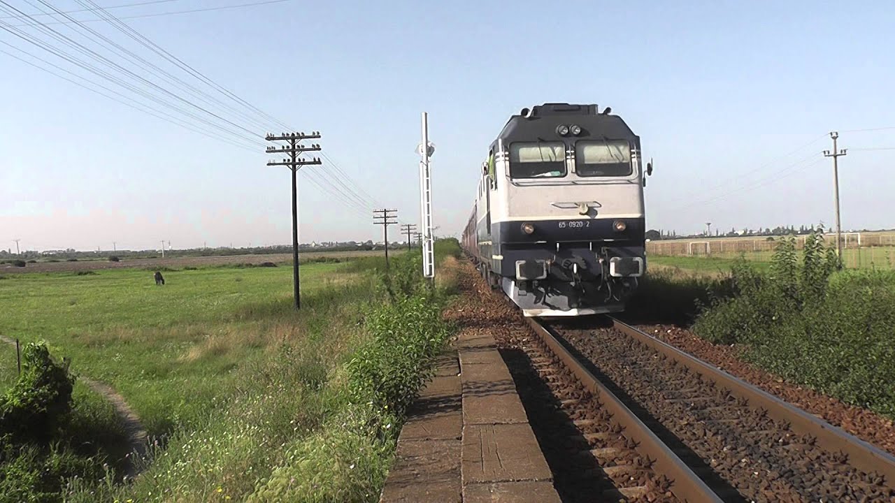 65-0920-2 IR1834 Madaras