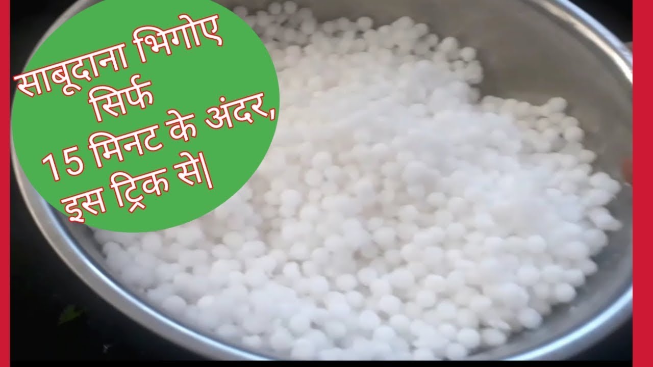 How  To SOAK SABUDANA OR Sago  pearls quickly | खिली खिली साबूदाने बनाने का तरीका| Soaking Sabudana