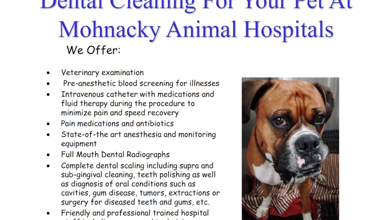 MAH Dental Packages Presentation