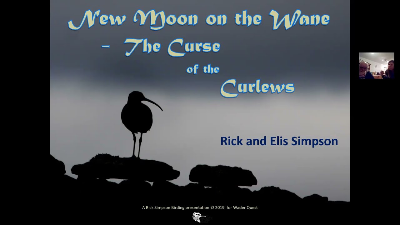 New Moon on the Wane - The Curse of the Curlews with Rick and Elis Simpson