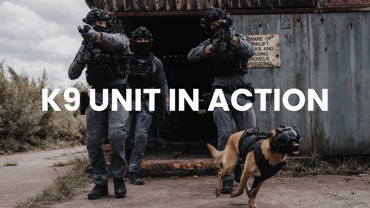 K9 Unit In Action: Elite Police Unite / Special Assistant United Capture Criminal