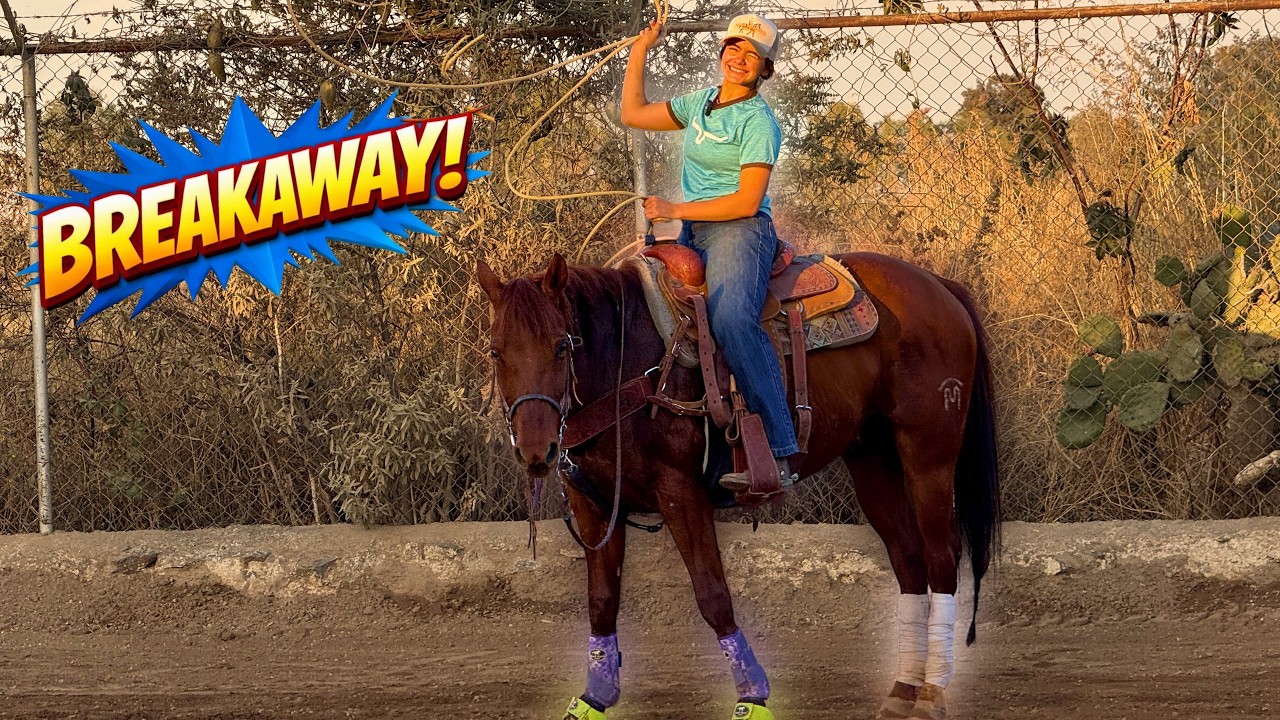 Practicando BREAKAWAY hasta que salga perfecto.... ❤️🤠