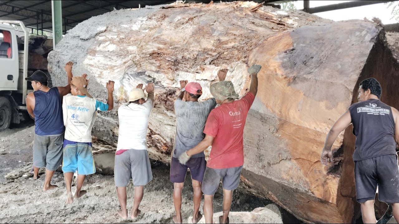 Mengukir semangat di setiap potongan ; intip proses menggeluti pekerjaan gergaji kayu di sawmill