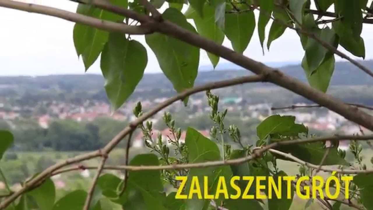 Pharrell Williams - Happy ( WE ARE FROM ZALASZENTGRÓT ) Official