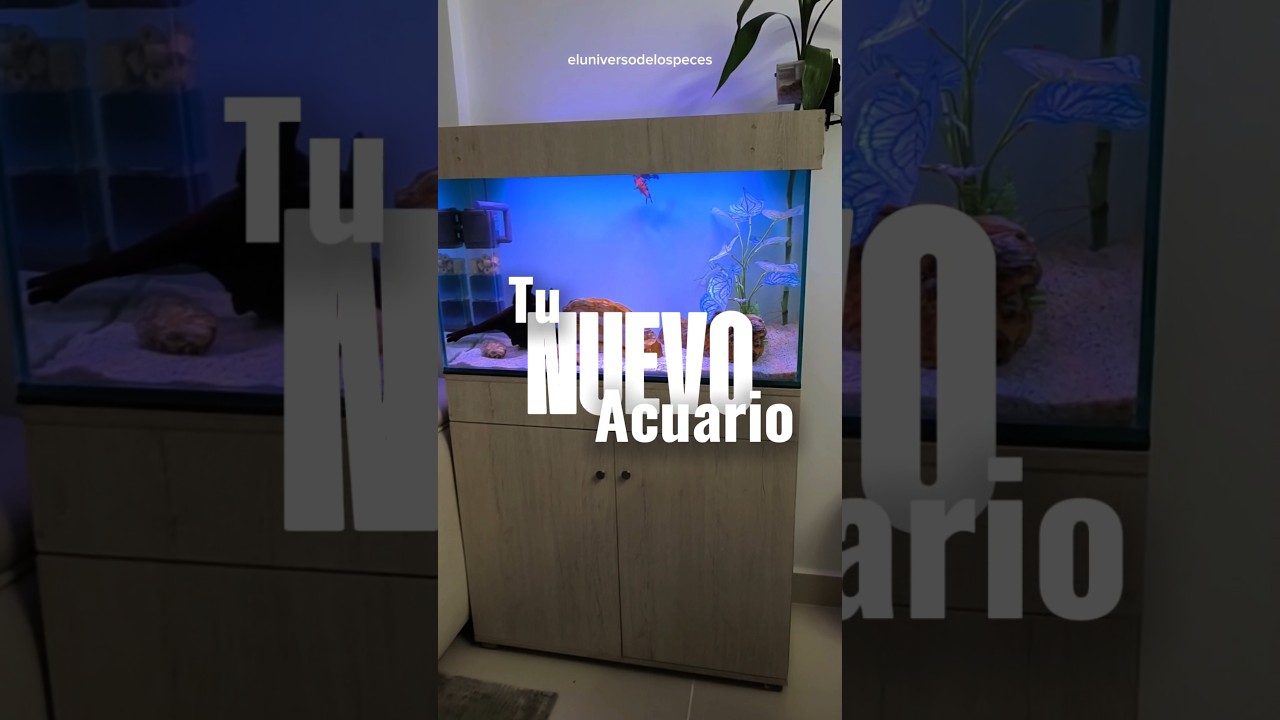 Eleva el nivel de tu hogar con este acabado Premium. 👇