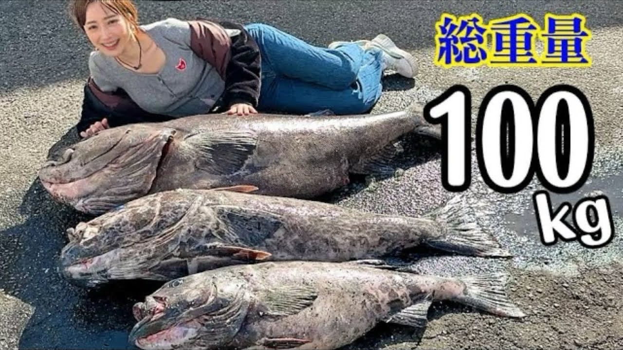【難易度MAX★★★過去最長】全身脂まみれの深海魚アブラボウズがやってきた！【魚屋の森さん】#白斑光裸头鱼
