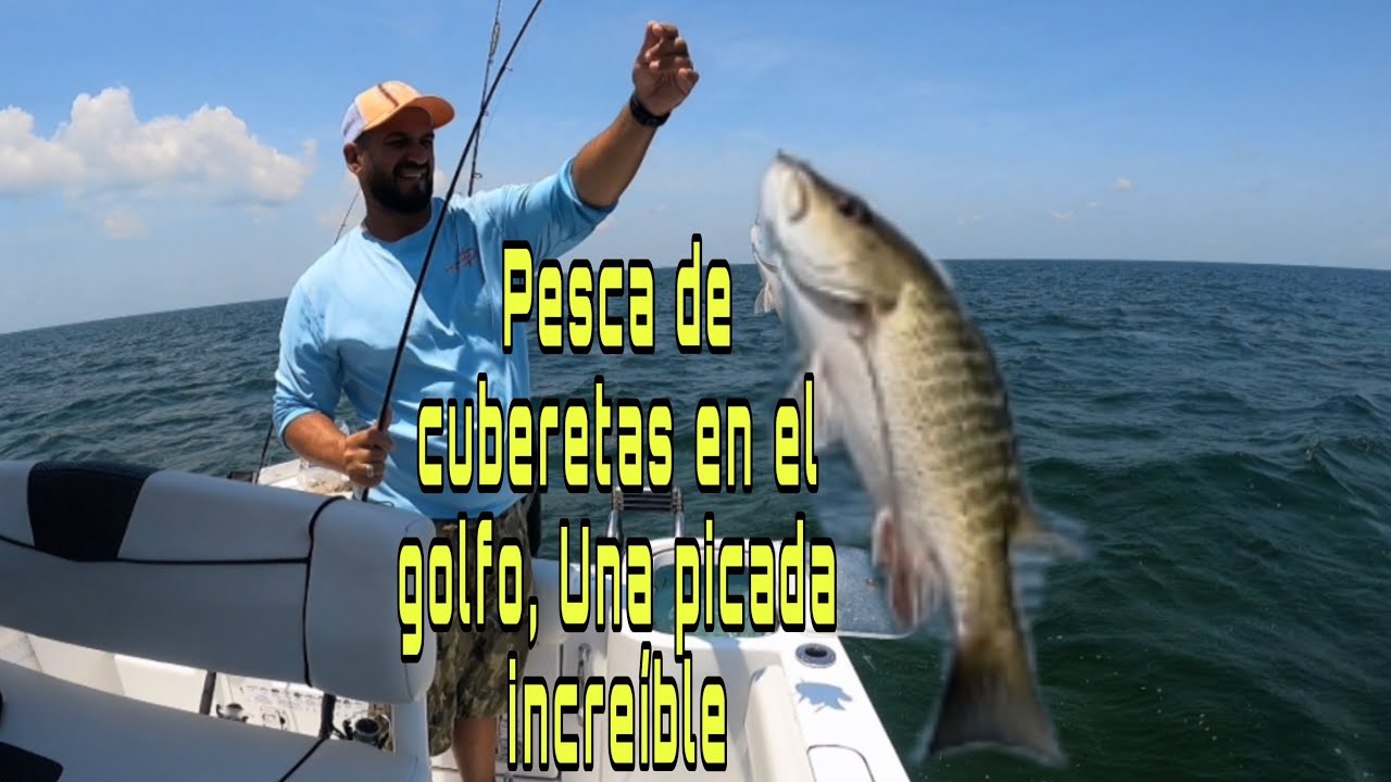 C&Oacute;MO PESCAR LA CUBERA Y CON QU&Eacute; CARNADA EN LOS CAYOS DE LA FLORIDA