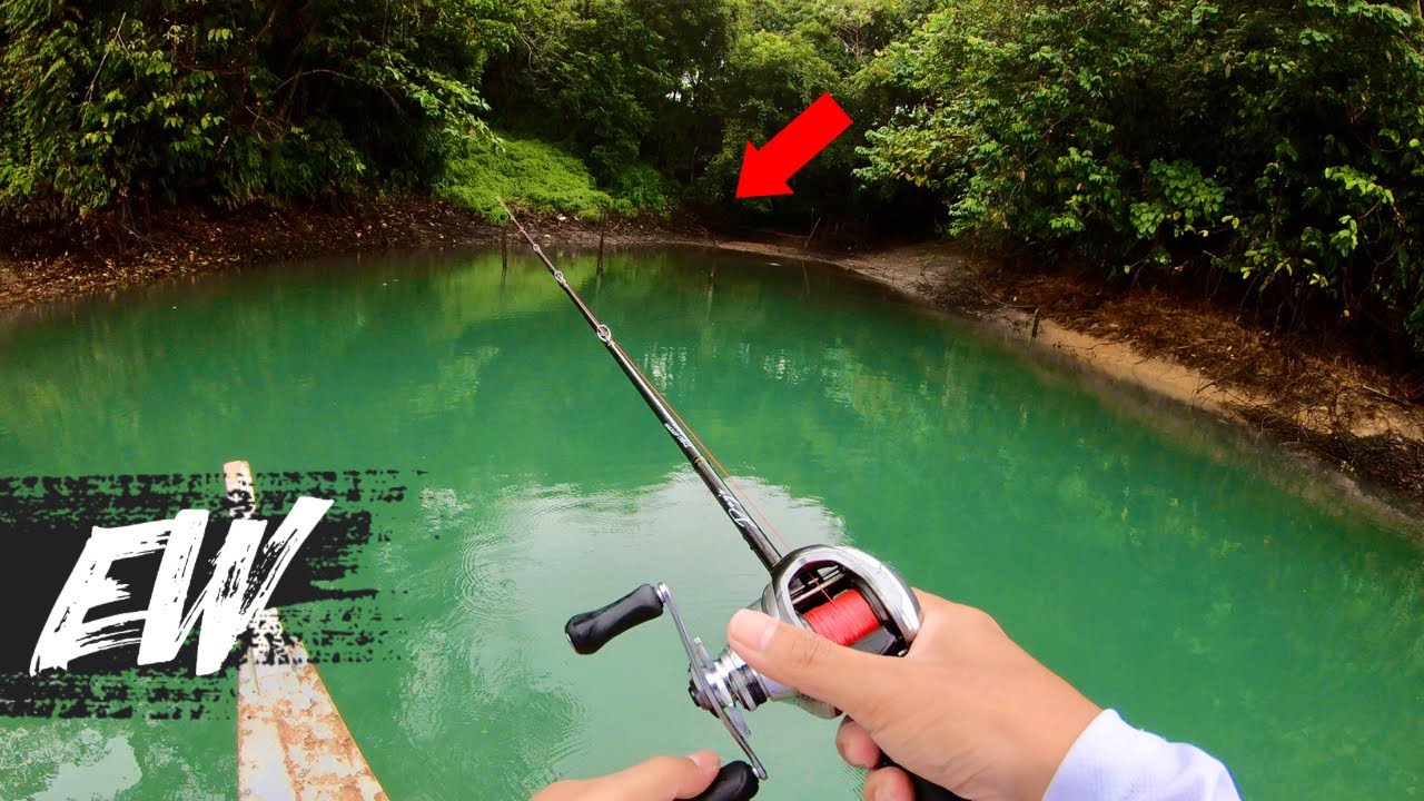 CALIRAYA LAKE FISHING for Bass and Giant Snakehead | Y4E34