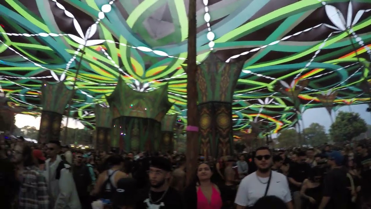 Arvore da Vida 2025 - 1200 Micrograms