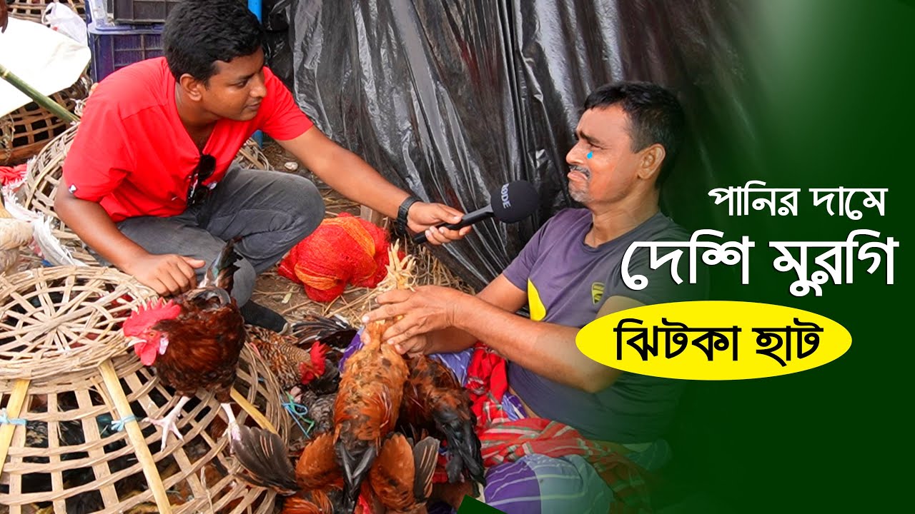 পানির দামে হাঁস মুরগি বিক্রি হচ্ছে মানিকগঞ্জের ঝিটকা হাটে - মুরগির হাট বাজার | Murgi || কৃষি ঘর