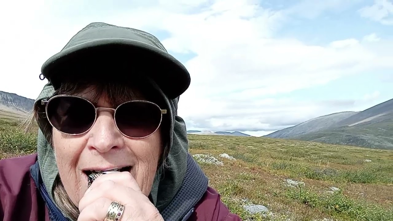 Arctic Sweden, August September, 2024