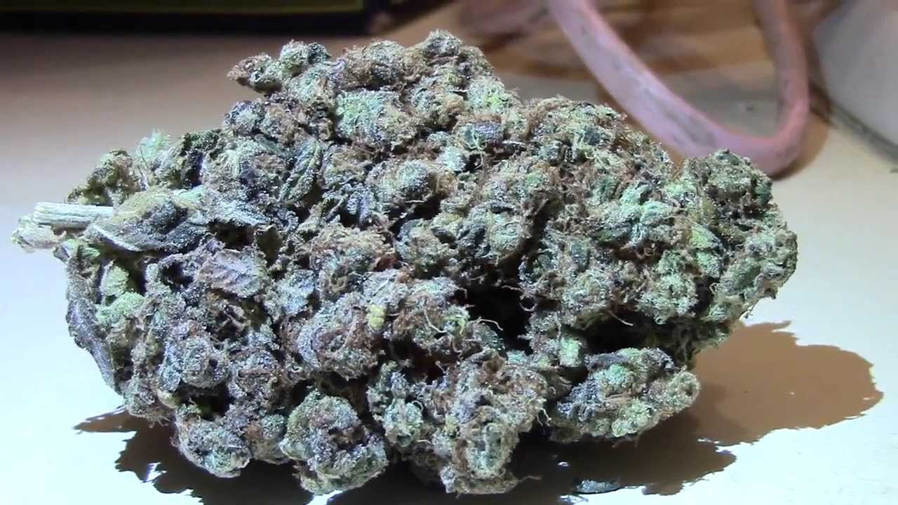 Purple Diesel sorta strain review