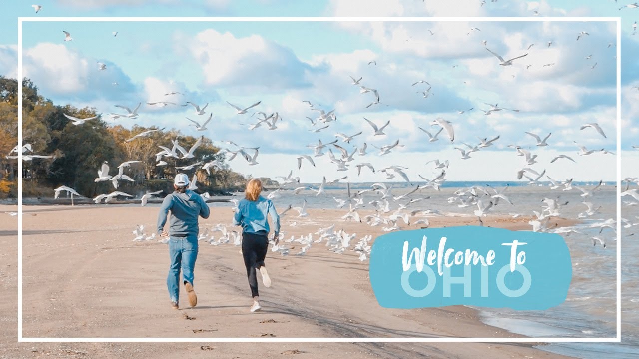 Lorain County Ohio // So many seagulls!