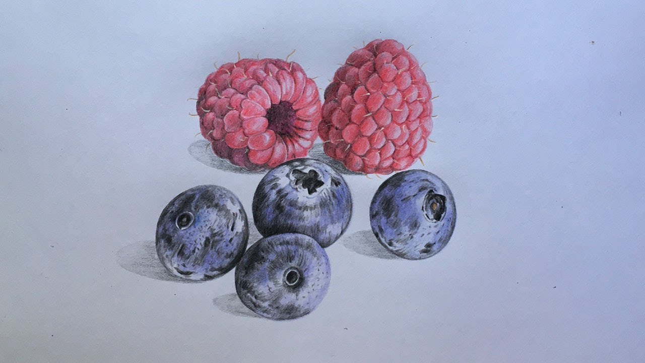 Berries Drawing in Color Pencils | Fruits Drawing | Crayola Color Pencils