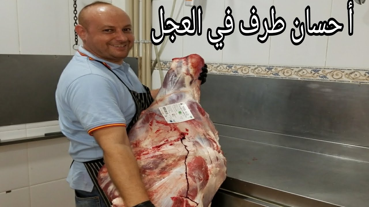 إ كتشفو معنا أ حسان طرف في العجل مع بعض المعلومات والتفصيل 🇲🇦🇪🇸