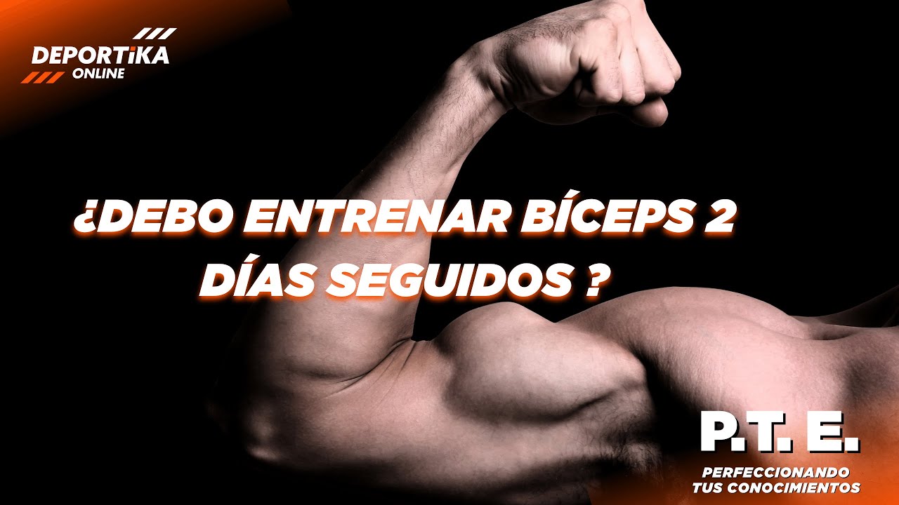 ¿Debo entrenar bíceps 2 días seguidos?