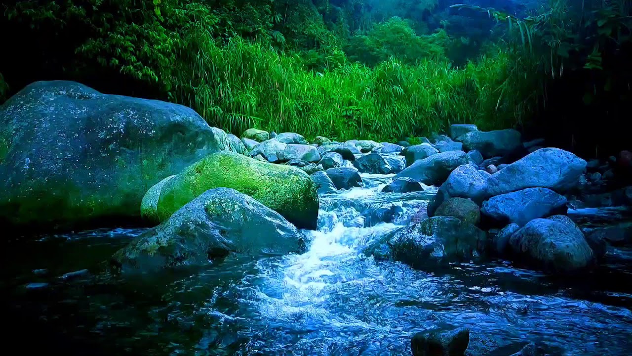 🌊 Gentle Rainfed River ASMR Sounds for Deep Sleep, Relaxation & Stress Relief
