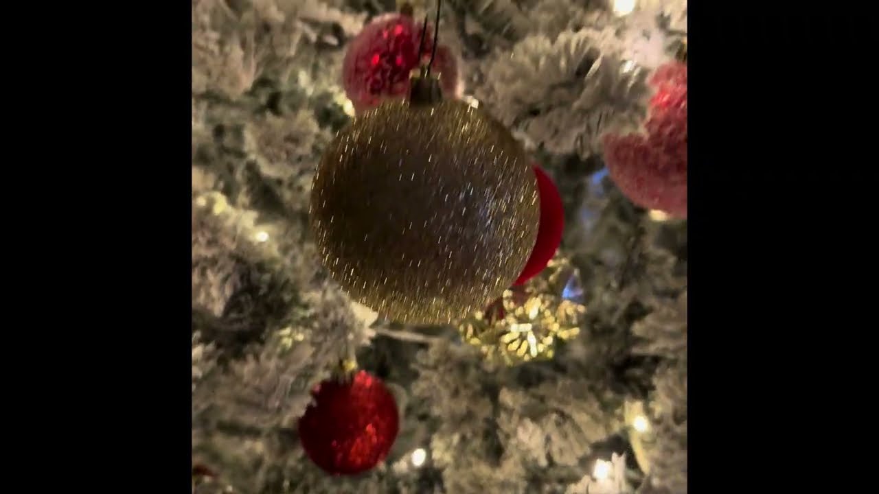 Grown up Christmas list - Don Bronto
