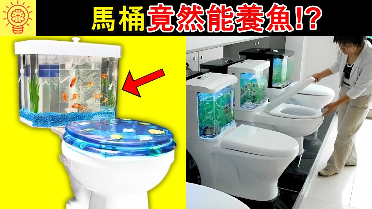 史上最怪異的奇葩魚缸! 馬桶養魚太誇張了!