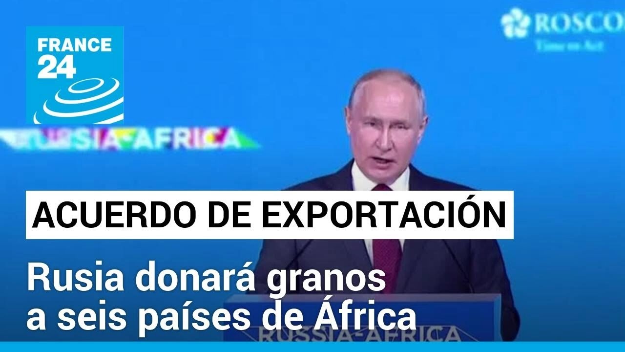 Vladimir Putin prometió la donación de granos rusos a seis países africanos • FRANCE 24