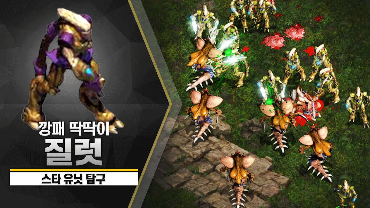 [스타 유닛 탐구] 프로토스를 하는 이유 
