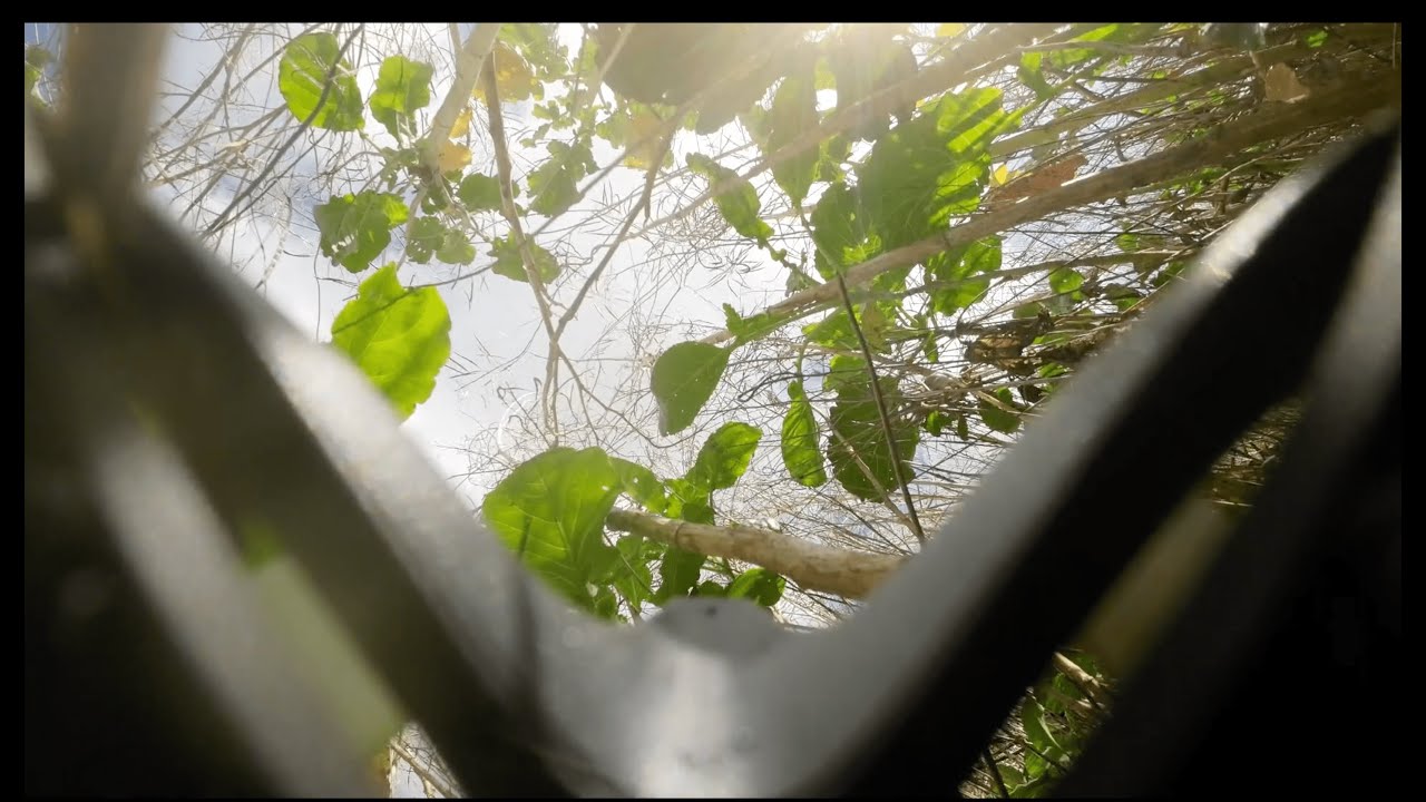 DJI Avata Crash... A Very Durable Drone!
