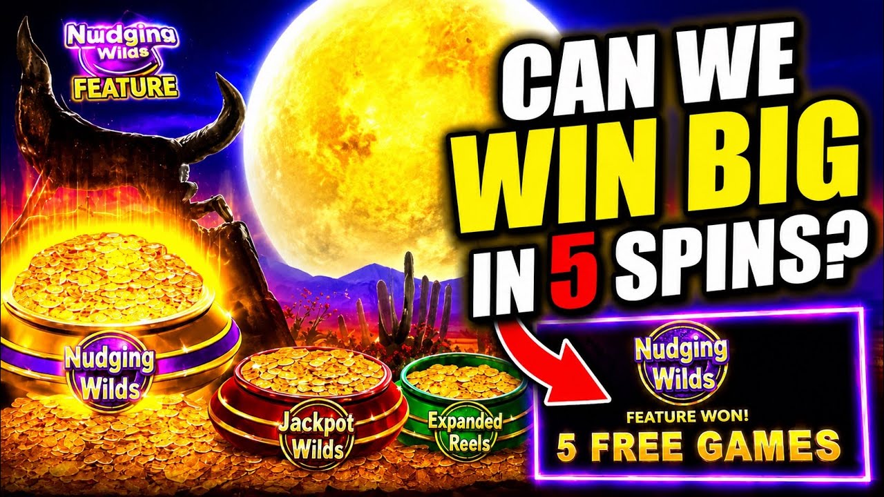 🎰 Can We Win Big in Just 5 Free Spins?! 😱