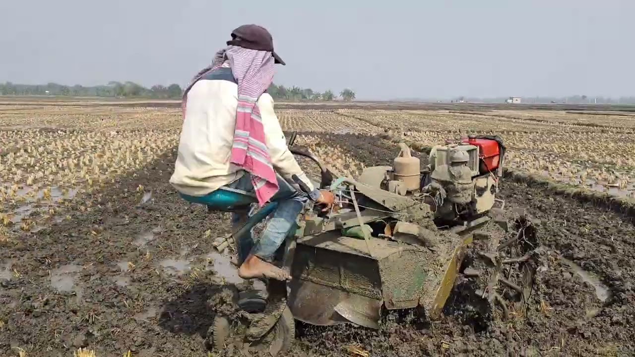 বাংলার মাঠে পাওয়ার টিলার দিয়ে জমি চাষ  Traditional Land Plowing with Power Tiller in Village Life 🚜