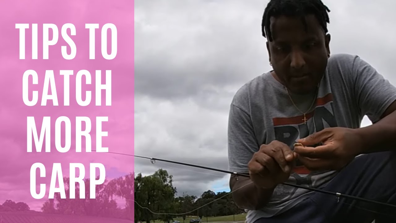 Carp Fishing (Carp Tips) @ Canberra, ACT