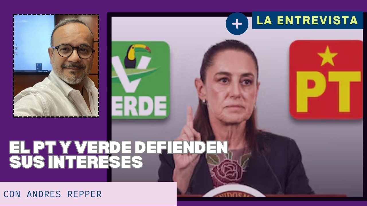 ¿Por qué el PT y el PVEM rechazan la Reforma Electoral?