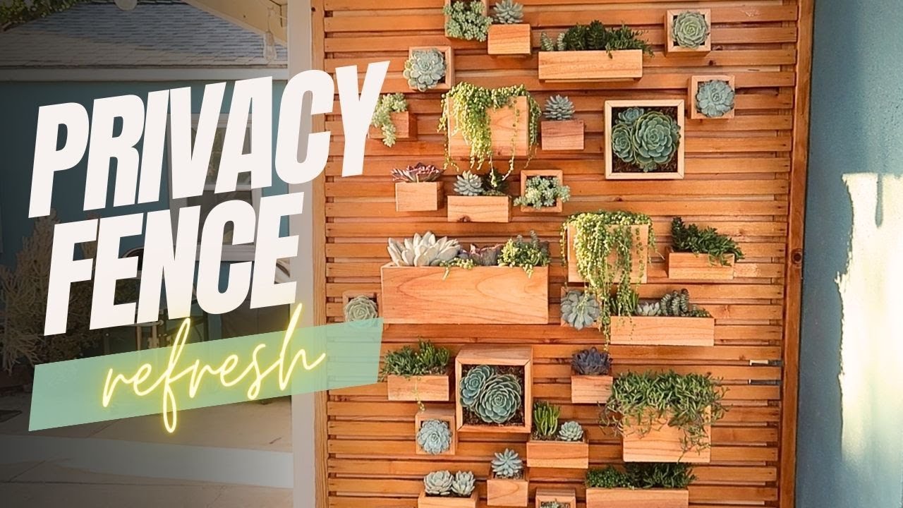 Get Inspired: Watch this Privacy Fence Refresh and Upgrade!