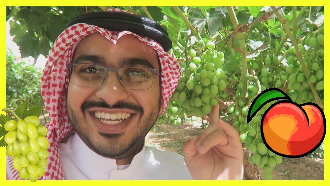 مزرعة خوخ وعنب في تبوك!