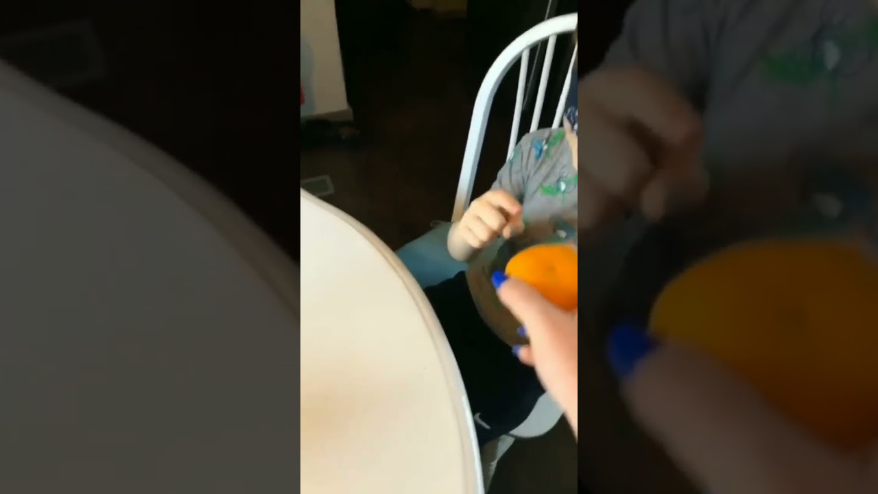 Putting boys hand in cat's ass prank 😂 #shorts