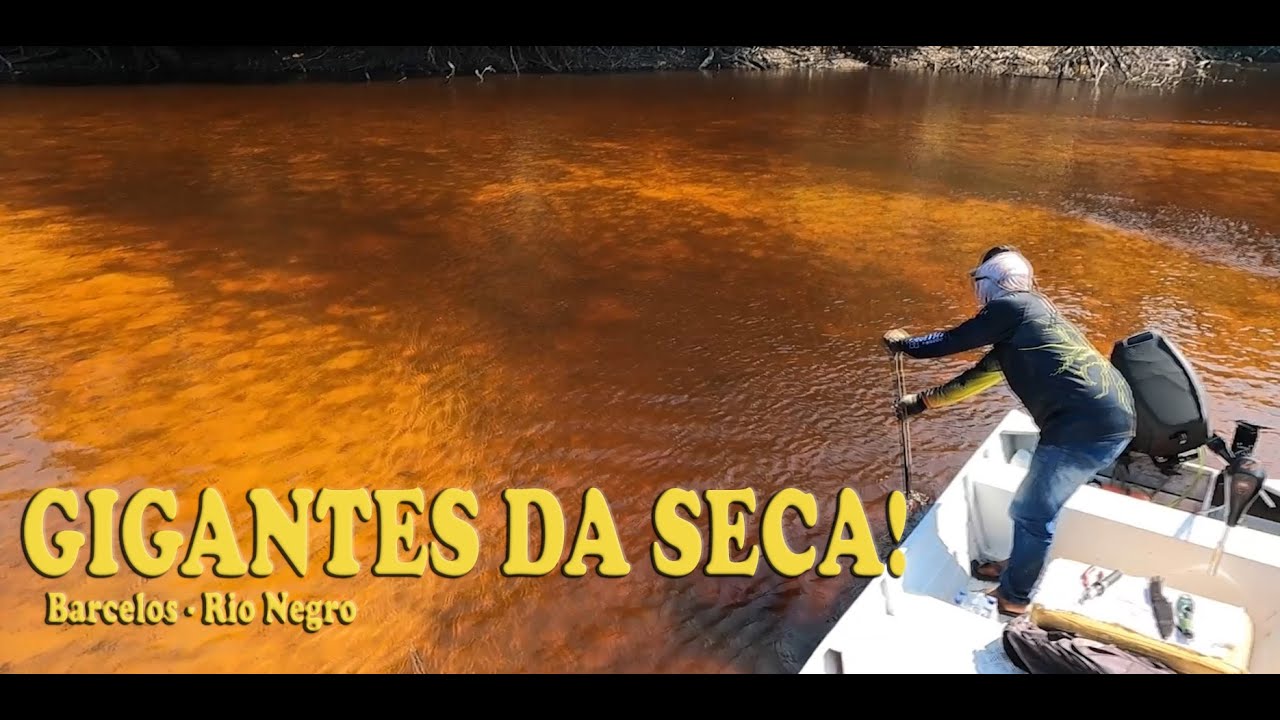 CARDUME DE MONSTROS NA MAIOR SECA DO RIO NEGRO!!!
