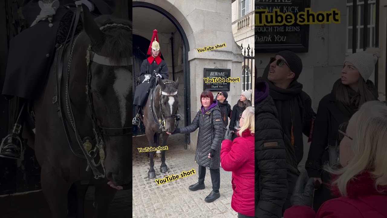 &laquo;Мой конь, мои правила: королевская гвардия позволяет ей трогать коня!&raquo; Короткий