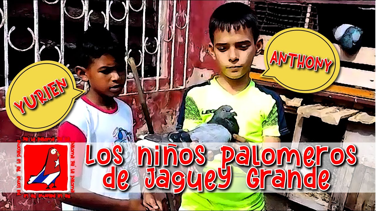 Miren como palomean estos NIÑOS PALOMEROS de JAGUEY GRANDE .