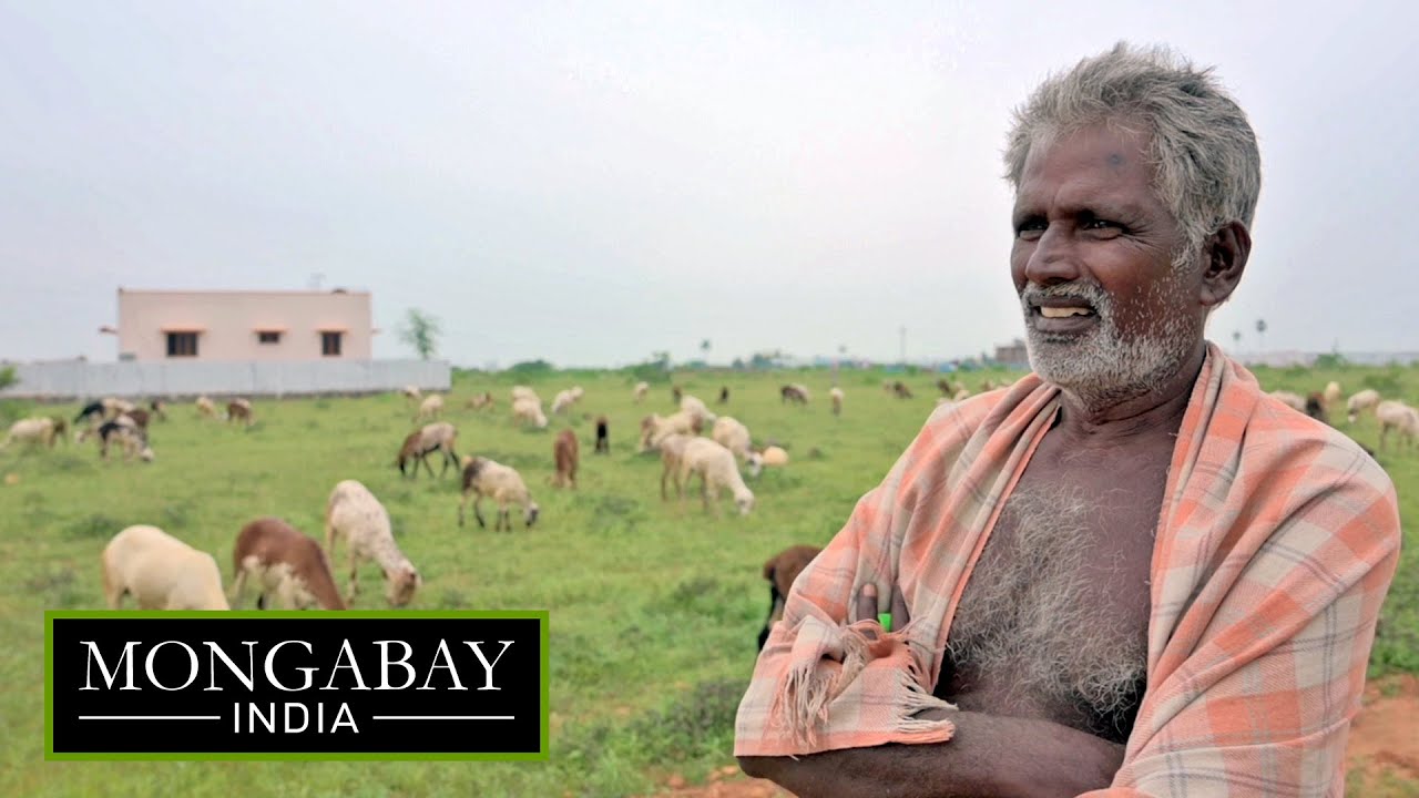 Mapping grasslands for community rights and to tackle climate change