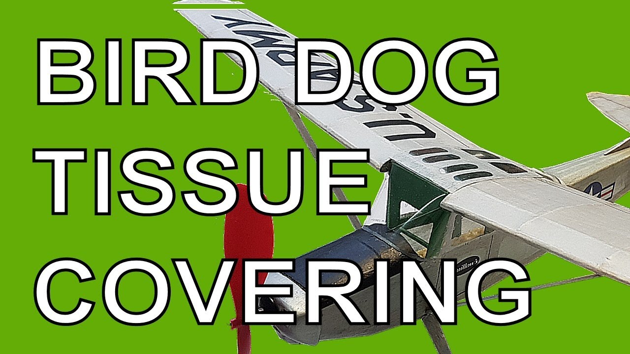 How To Tissue Cover and Assemble the Guillow's Bird Dog