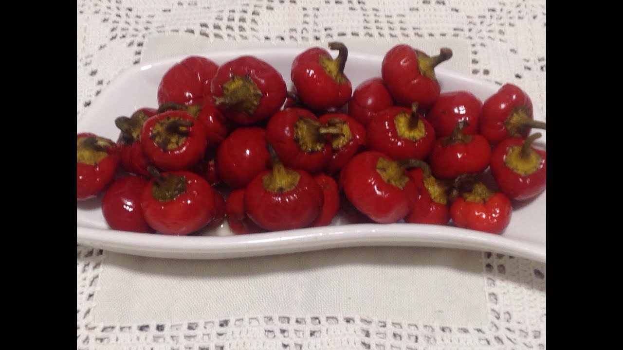 تخليل الفليفلة الحمراء بطريقة جد مبسطة من المطبخ المغربي مع ربيعة🌶Red Peppers🌶 Felafla Hamra