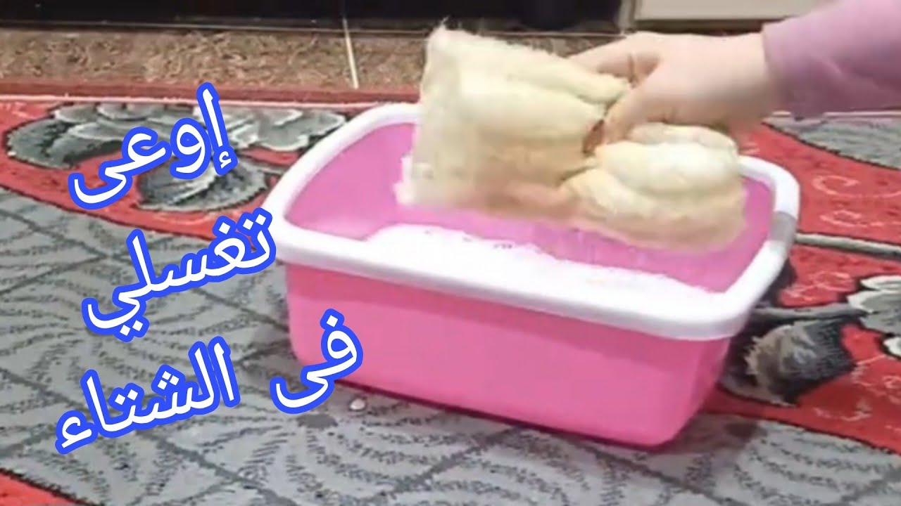 إوعى تغسلي السجاد فى الشتاء⁉️ طريقة عبقرية هتخلى سجادك بينور⁉️ على الناشف غسيل السجاد ⁉️