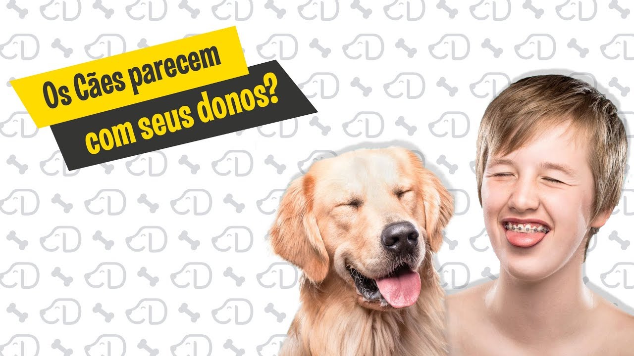 Os c&atilde;es se parecem com seus donos? #Dogueiros #C&atilde;esParecidosComSeusDonos
