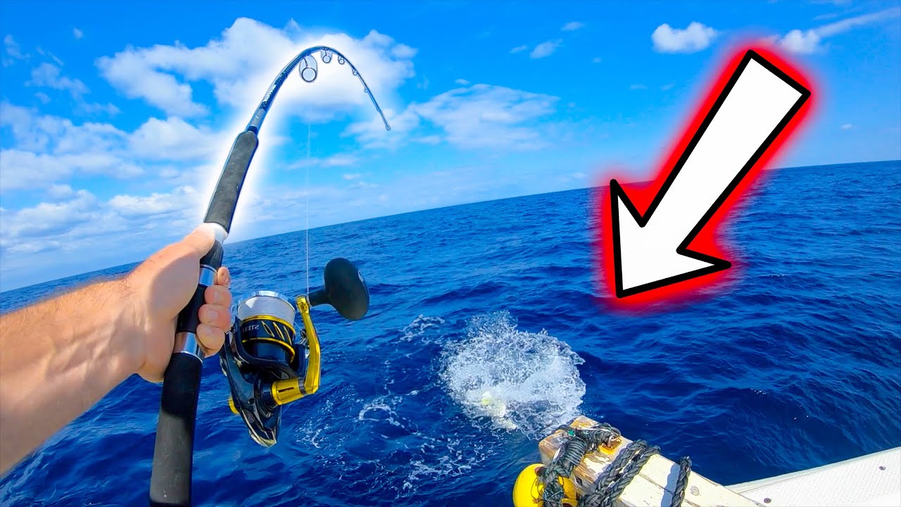 Huge Strikes in Japan! Mahi and Tuna Madness!!!