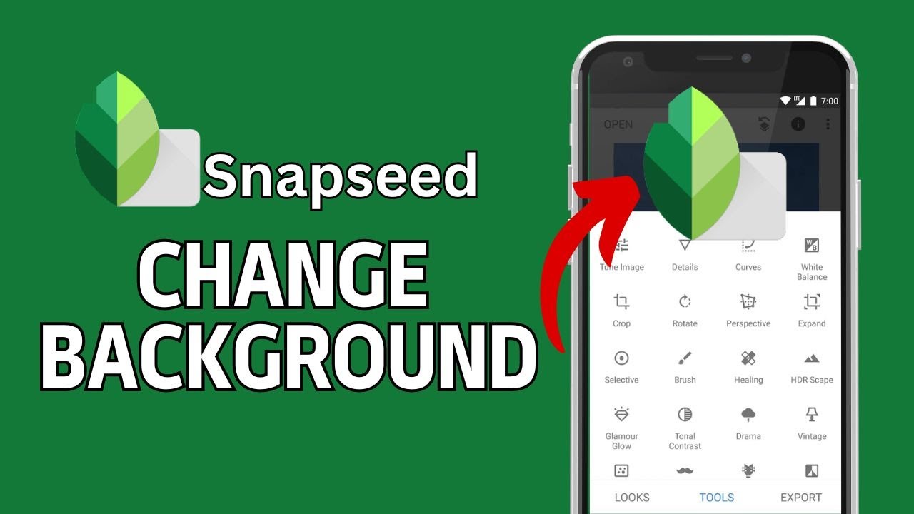 How to Change Background in Snapseed 2024?